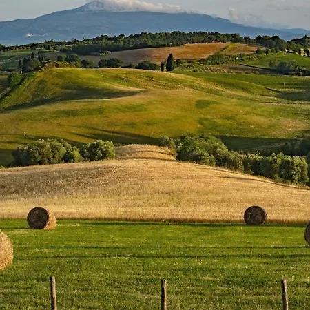 Palazzone * Torrita di Siena